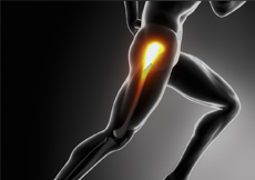 Expert Diagnosis of Athletic Hip Injury 